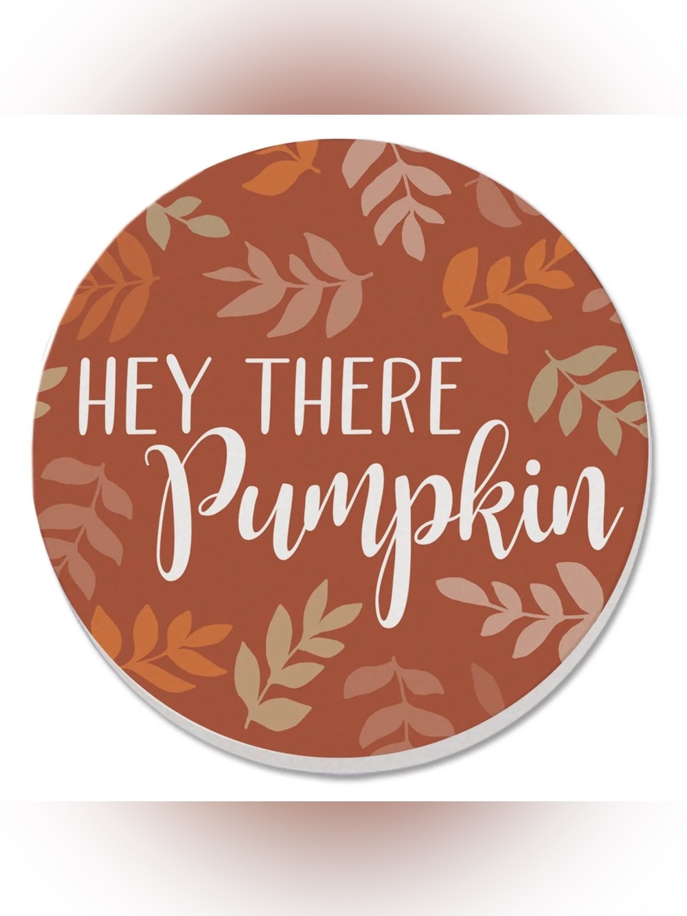 Hey There Pumpkin Coaster set of 4